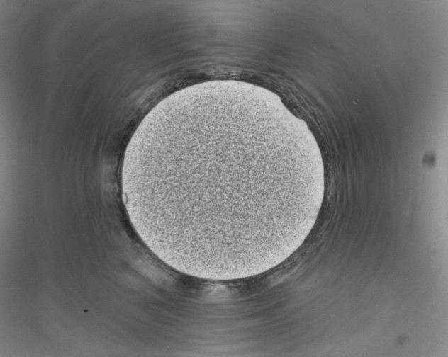 X0000116770616201001281634