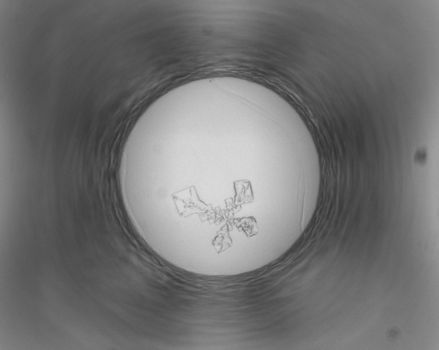 X0000116770617201001281634