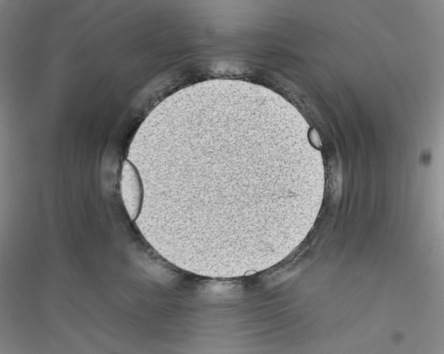 X0000116770619201001281634