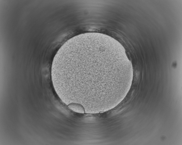 X0000116770620201001281634