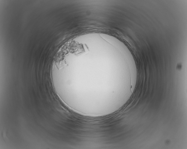 X0000116770621201001281634