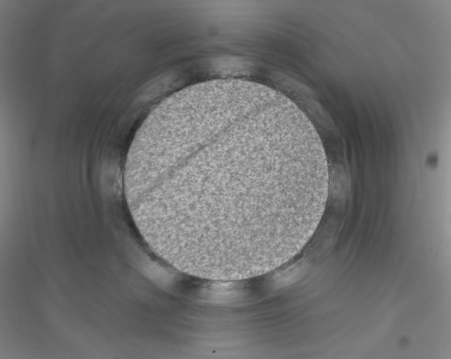 X0000116770622201001281634