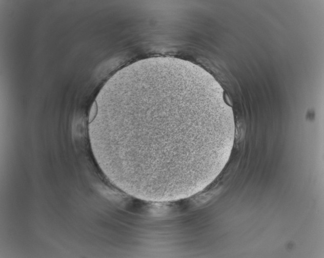 X0000116770623201001281634