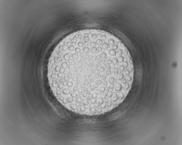 X0000116770626201001281633