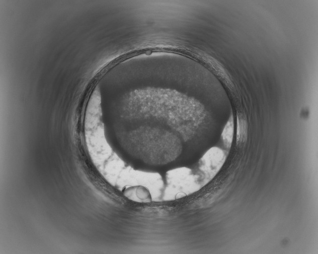 X0000116770627201001281633
