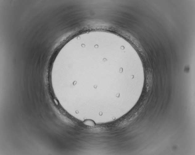 X0000116770629201001281633