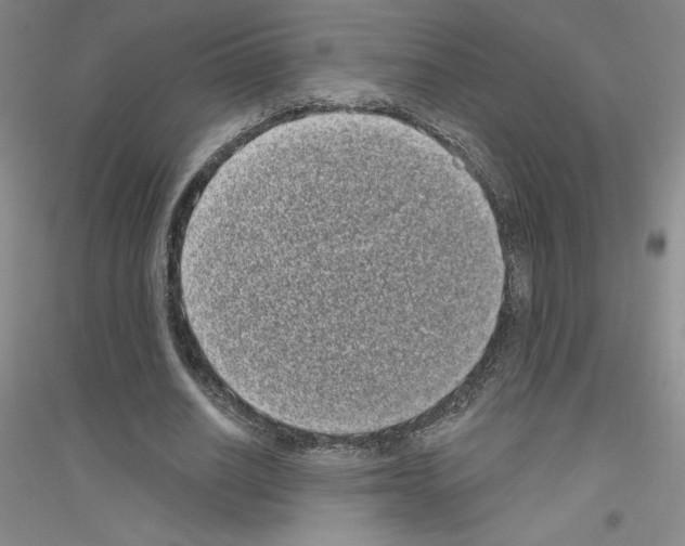 X0000116770630201001281633
