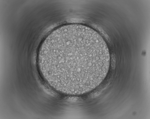 X0000116770631201001281633