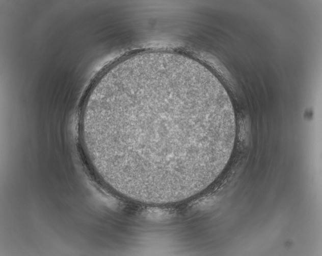 X0000116770632201001281633