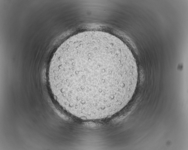 X0000116770633201001281633