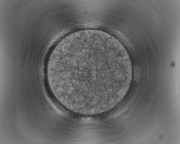 X0000116770634201001281633