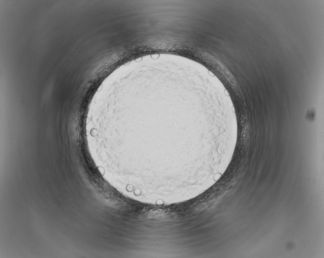 X0000116770635201001281633