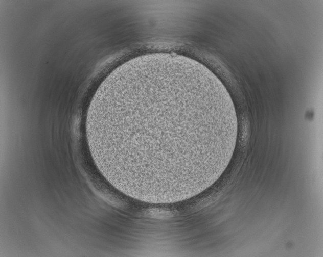 X0000116770636201001281633