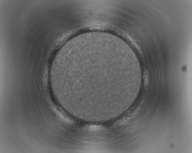 X0000116770637201001281633