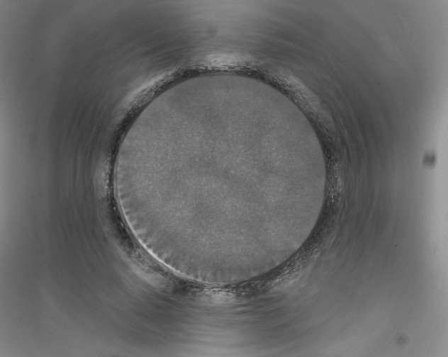 X0000116770640201001281633