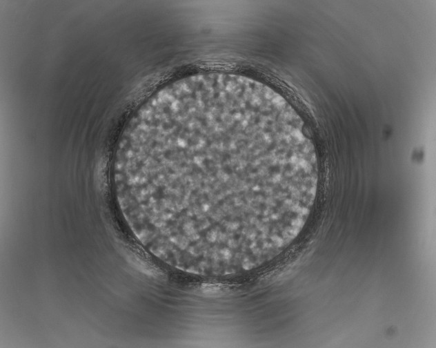 X0000116770641201001281633