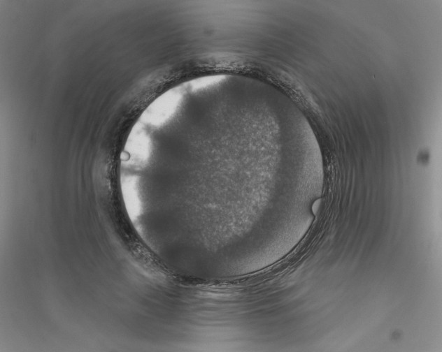 X0000116770643201001281633