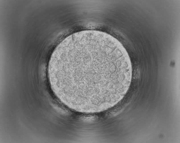 X0000116770646201001281634