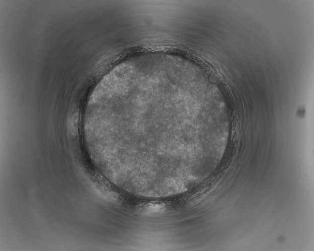X0000116770647201001281634