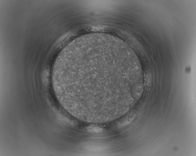 X0000116770648201001281634