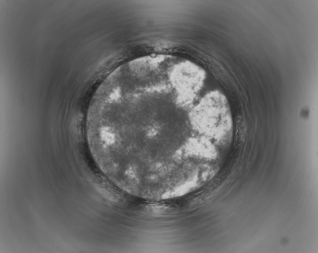 X0000116770650201001281634