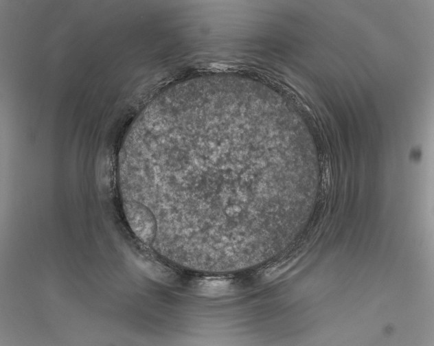 X0000116770651201001281634