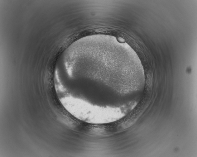 X0000116770653201001281634