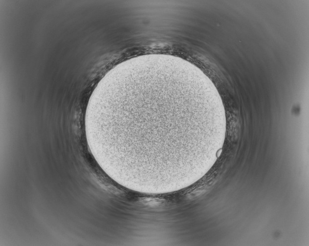 X0000116770654201001281634
