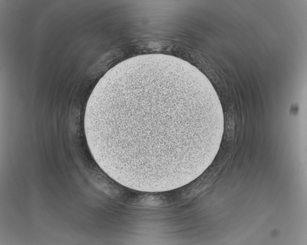 X0000116770656201001281634