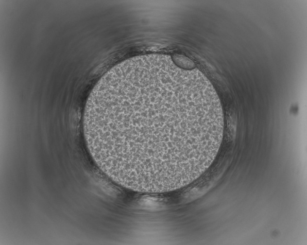 X0000116770657201001281634