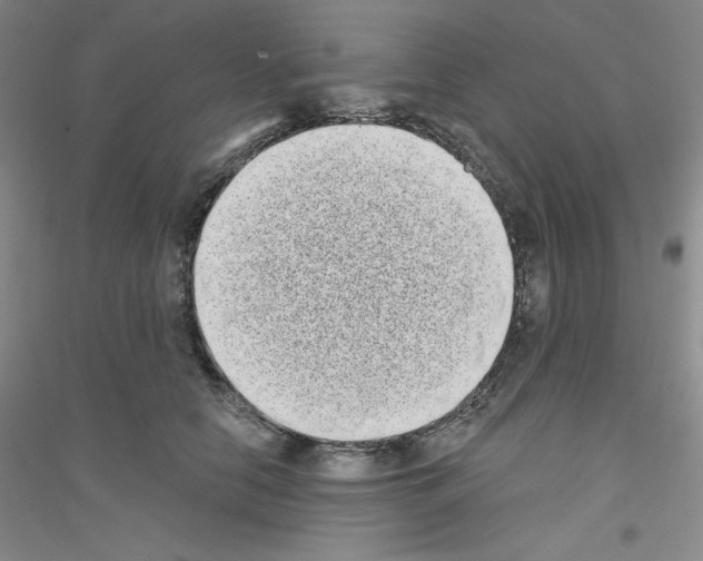 X0000116770658201001281634
