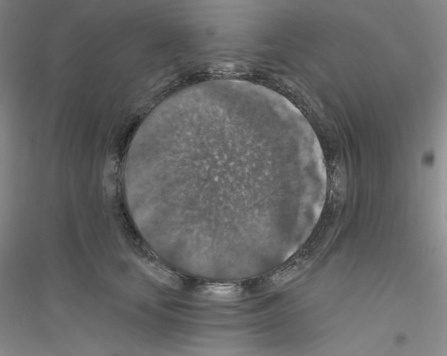 X0000116770659201001281634