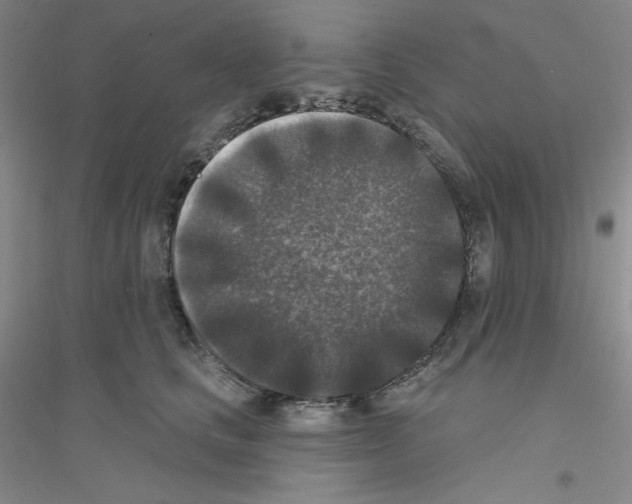 X0000116770661201001281634