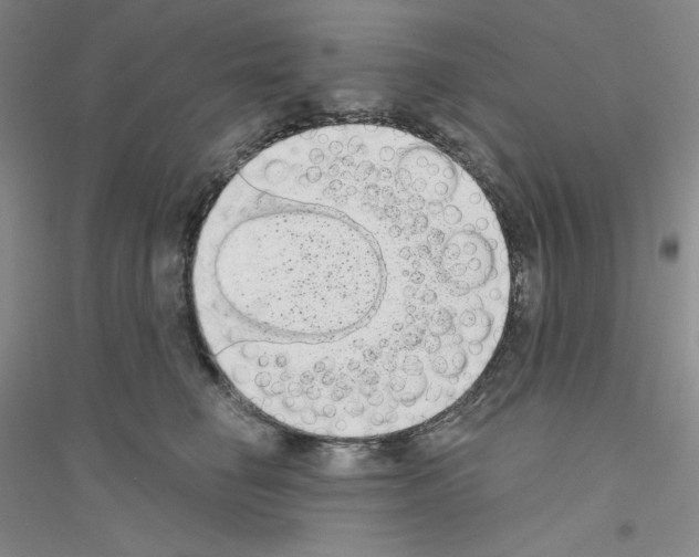 X0000116770662201001281634