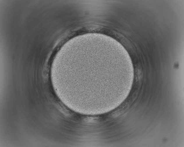 X0000116770664201001281634