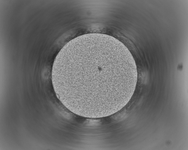X0000116770665201001281634