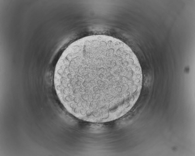 X0000116770666201001281634