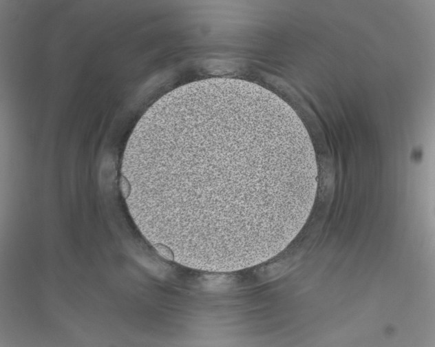 X0000116770667201001281634