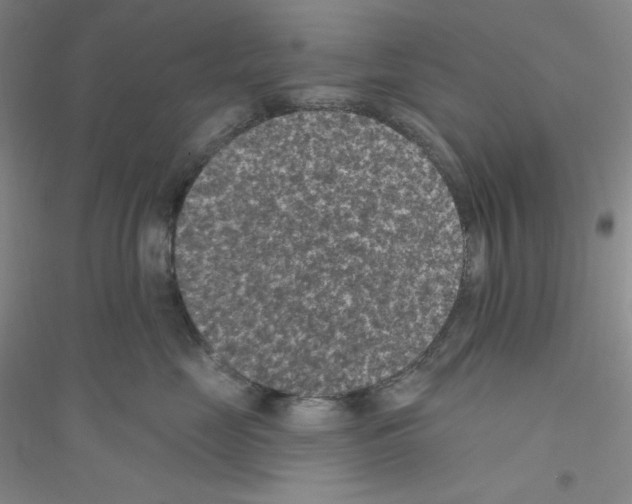 X0000116770669201001281634