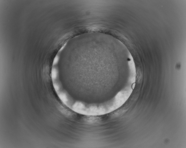 X0000116770670201001281634