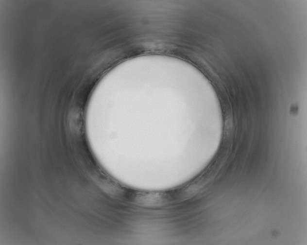 X0000116770671201001281634