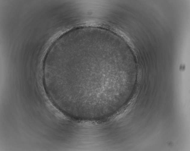 X0000116770673201001281633