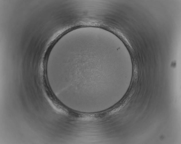 X0000116770674201001281633
