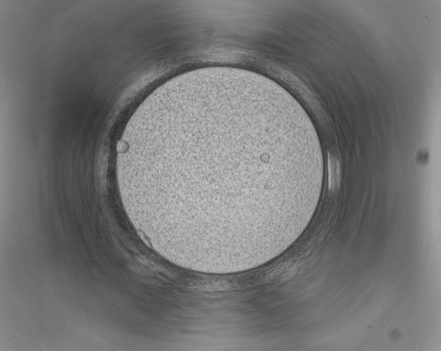 X0000116770675201001281633