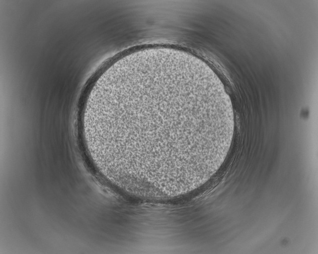 X0000116770676201001281633
