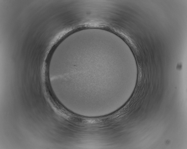 X0000116770678201001281633