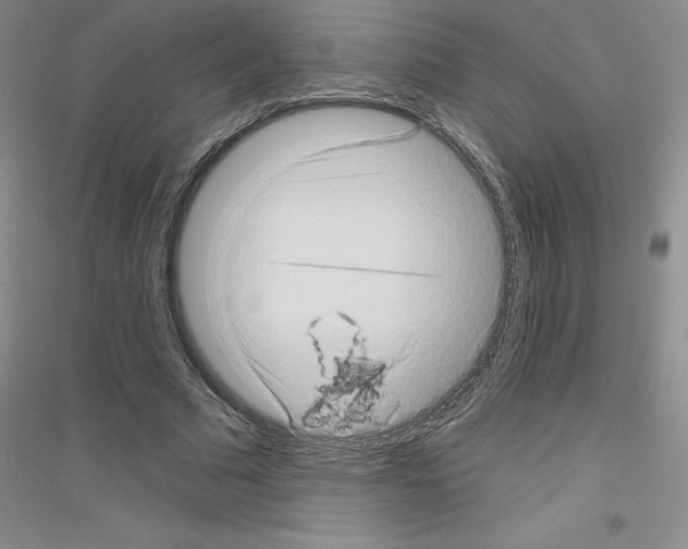 X0000116770681201001281633