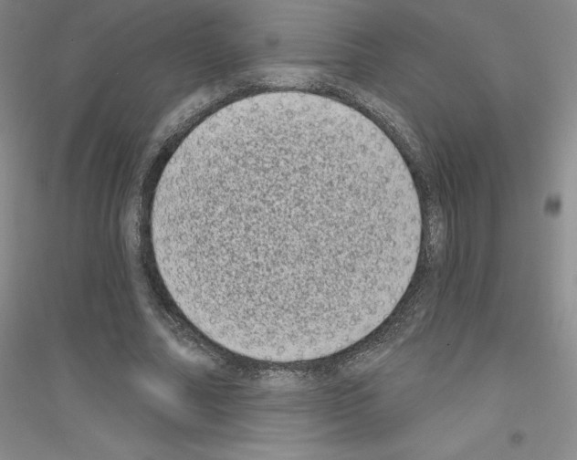 X0000116770682201001281633