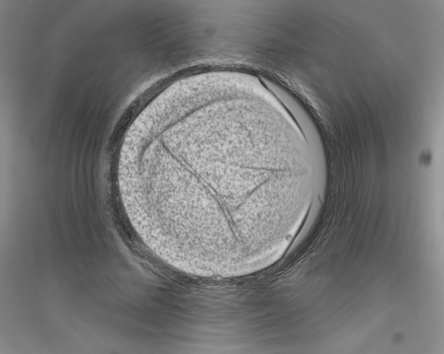 X0000116770684201001281633