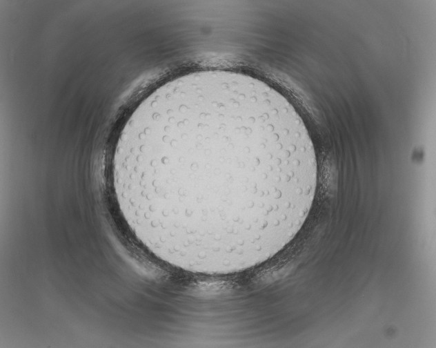 X0000116770686201001281633